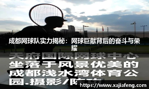 成都网球队实力揭秘：网球巨献背后的奋斗与荣耀