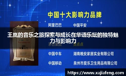 王岚的音乐之旅探索与成长在华语乐坛的独特魅力与影响力